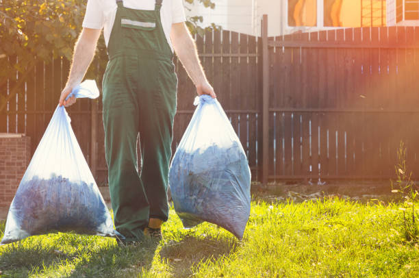 Best Office Junk Removal  in Throop, PA